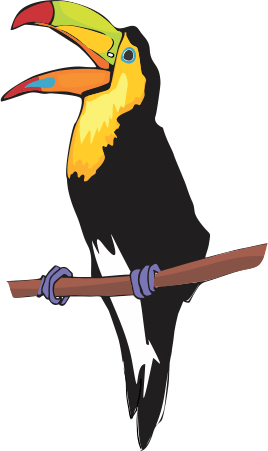 Guacamaya