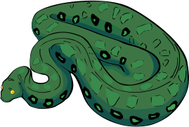 Anaconda