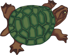 Tortuga